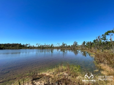 Bulloch County/ Pembroke Future Homesite/Land - image 14