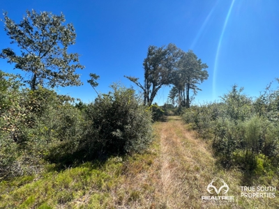 Bulloch County/ Pembroke Future Homesite/Land - image 4