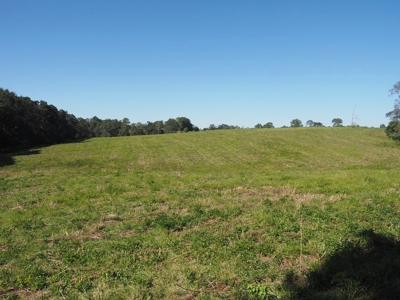 Pastureland 35 acres with 2 ponds SW Mississippi - image 22