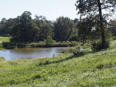 Pastureland 35 acres with 2 ponds SW Mississippi - image 2