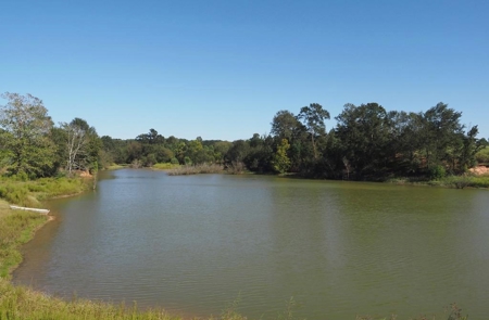 Pastureland 35 acres with 2 ponds SW Mississippi - image 1