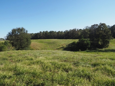 Pastureland 35 acres with 2 ponds SW Mississippi - image 23