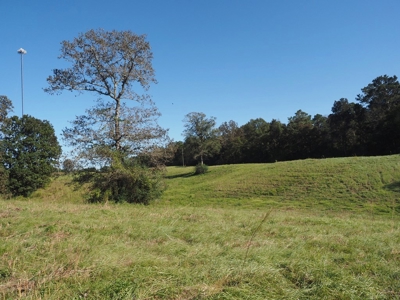 Pastureland 35 acres with 2 ponds SW Mississippi - image 18