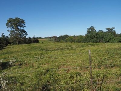 Pastureland 35 acres with 2 ponds SW Mississippi - image 16