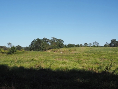 Pastureland 35 acres with 2 ponds SW Mississippi - image 13