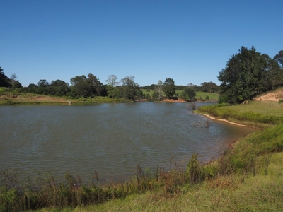 Pastureland 35 acres with 2 ponds SW Mississippi - image 9
