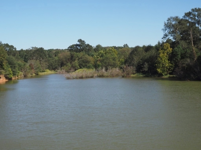 Pastureland 35 acres with 2 ponds SW Mississippi - image 11