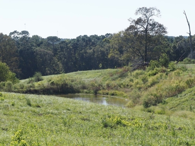 Pastureland 35 acres with 2 ponds SW Mississippi - image 17