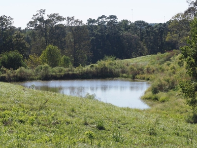 Pastureland 35 acres with 2 ponds SW Mississippi - image 14