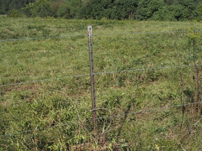 Pastureland 35 acres with 2 ponds SW Mississippi - image 6