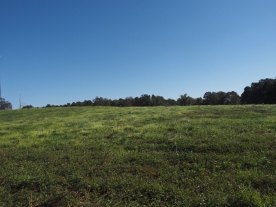 Pastureland 35 acres with 2 ponds SW Mississippi - image 8
