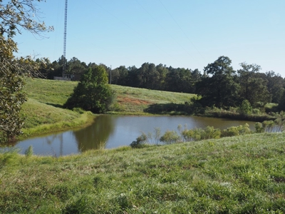 Pastureland 35 acres with 2 ponds SW Mississippi - image 12