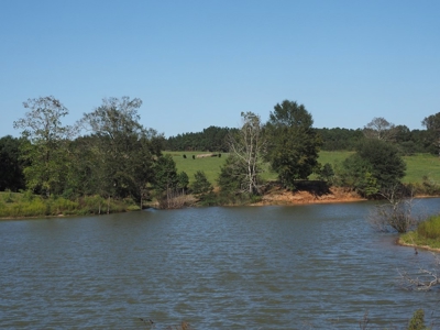 Pastureland 35 acres with 2 ponds SW Mississippi - image 10