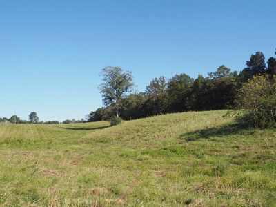 Pastureland 35 acres with 2 ponds SW Mississippi - image 3