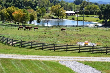 104 Acre Farm with restored historic home in Draper, VA - image 35