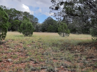 Very Secluded - image 9