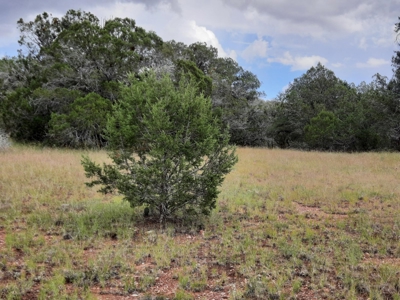 Very Secluded - image 11
