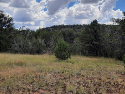 Very Secluded - image 1