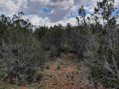 Very Secluded - image 3