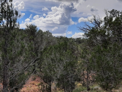 Very Secluded - image 4