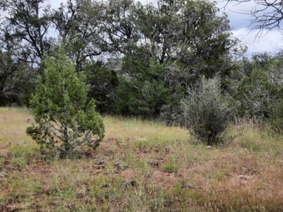 Very Secluded - image 10