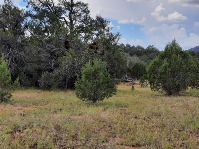 Very Secluded - image 5