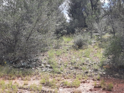 Very Secluded - image 8
