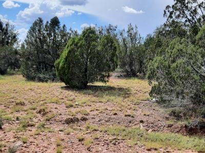 Beautiful Property - image 6