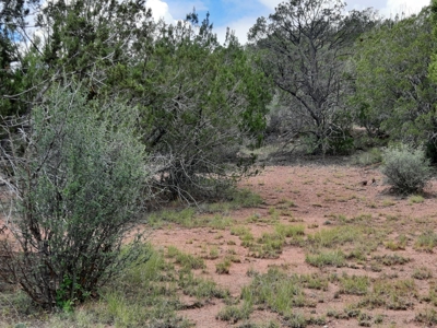 Beautiful Property - image 8