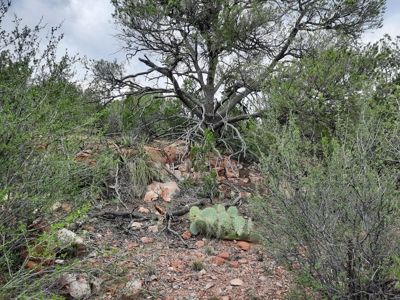 Beautiful Property - image 3