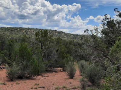 Beautiful Property - image 4