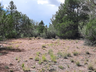 Beautiful Property - image 1