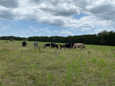 Texas Home For Sale With Acreage No Restrictions - image 37