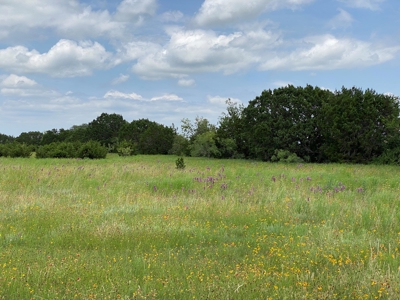 Texas Home For Sale With Acreage No Restrictions - image 40