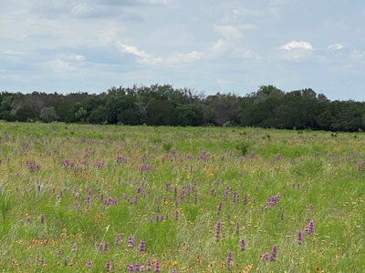 Texas Home For Sale With Acreage No Restrictions - image 36