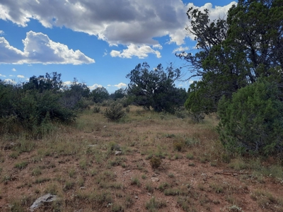 Beautiful Property - image 4