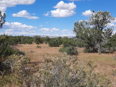 Beautiful Property - image 1