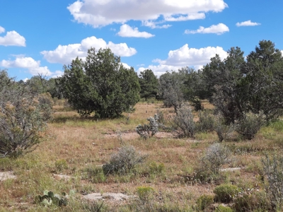 Beautiful Property - image 10