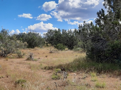 Beautiful Property - image 11