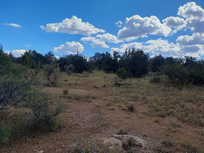 Beautiful Property - image 3