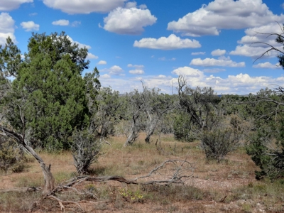 Beautiful Property - image 6
