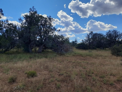 Beautiful Property - image 2