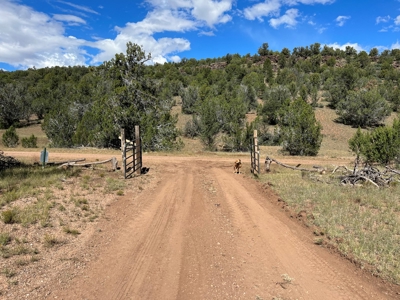 Very Secluded Northern Az Mountain Cabin On 38.7 Acres - image 18
