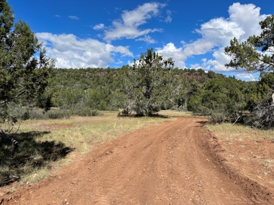 Very Secluded Northern Az Mountain Cabin On 38.7 Acres - image 26