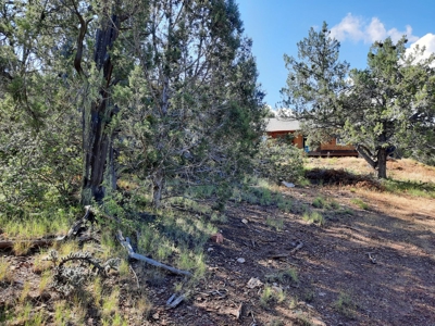 Very Secluded Northern Az Mountain Cabin On 38.7 Acres - image 6