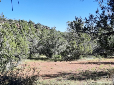 Very Secluded Northern Az Mountain Cabin On 38.7 Acres - image 8