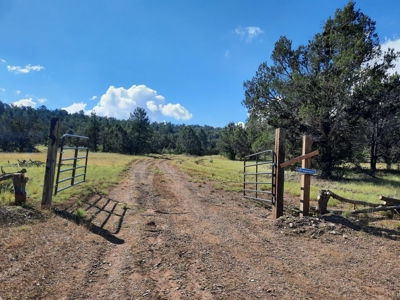 Very Secluded Northern Az Mountain Cabin On 38.7 Acres - image 16