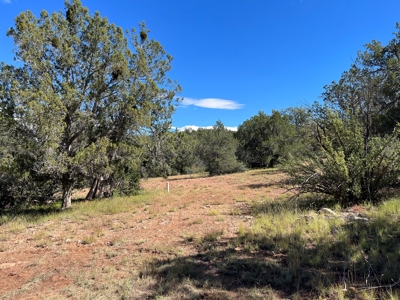 Very Secluded Northern Az Mountain Cabin On 38.7 Acres - image 27