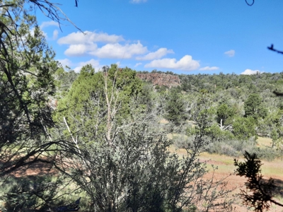 Very Secluded Northern Az Mountain Cabin On 38.7 Acres - image 10