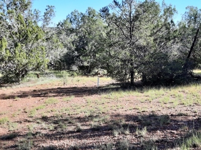 Very Secluded Northern Az Mountain Cabin On 38.7 Acres - image 11